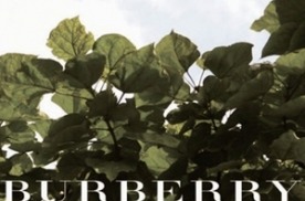 Обложка альбома Burberry